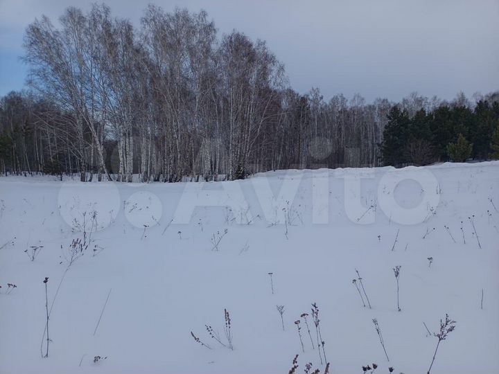 Участок 9,3 сот. (СНТ, ДНП)