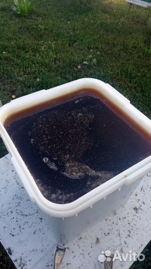 Мед Разнотравье 