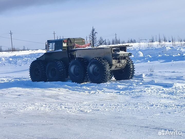 Аренда болотохода. Услуги вездехода