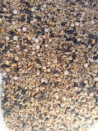 Комбикорм для кур несушек