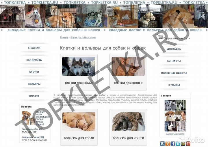 Доменное имя Topkletka.ru возраст 10 лет