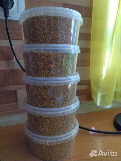 Пыльца пчелиная