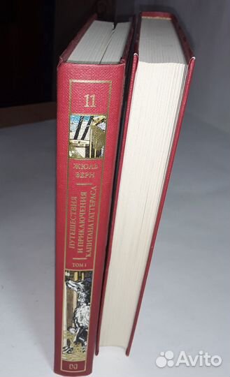 Путешествия и приключения капитана Гаттераса. Жюль