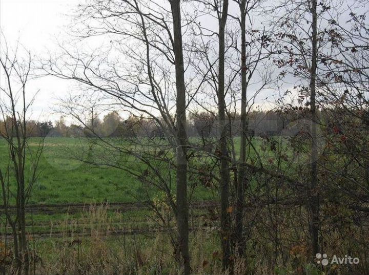 Участок 2,5 га (СНТ, ДНП)