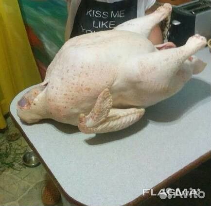 Мясо домащней Индейки оптом