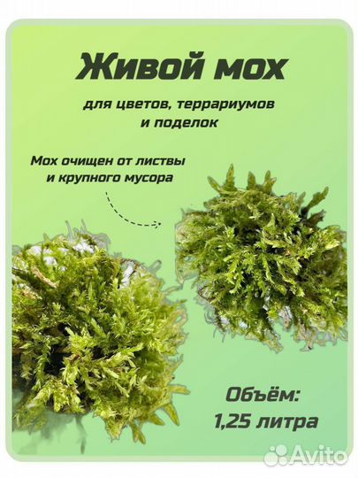 Мох живой для растений, террариумов и улиток