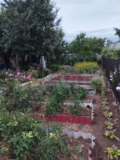 Дача 50 м² на участке 4 сот.