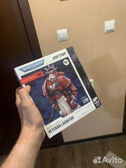 Joytoy warhammer veteran Laenatus