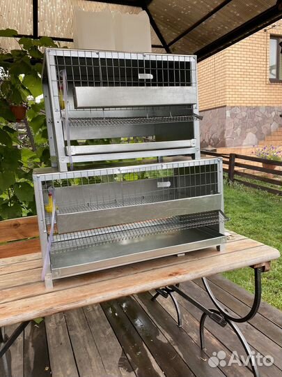 Клетки для перепелов