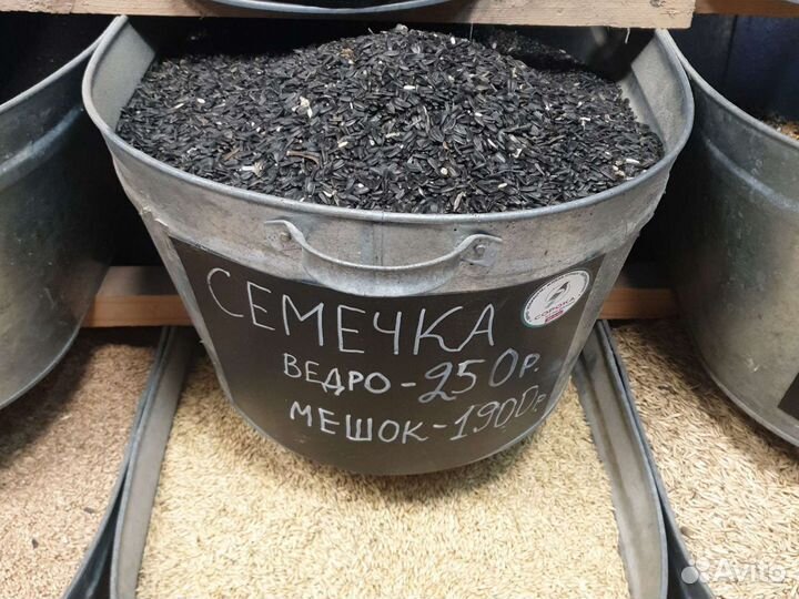 Семечка