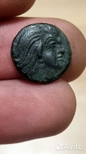 Дихалк Пегас Боспор