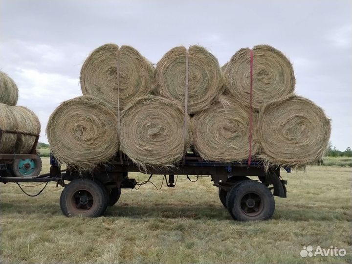 Продам сено в рулонах