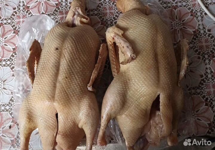 Курица домашняя Халяль