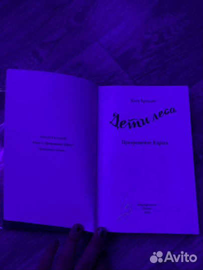 Книга Кати Брандис