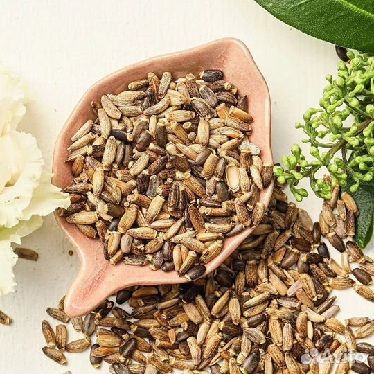 Эликсир для печени.Сыродавленное масло расторопши