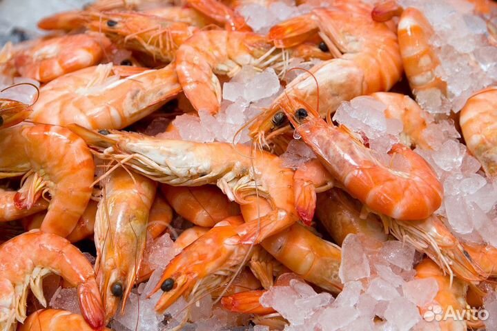 Продам прибыльный магазин рыбы и морепродуктов