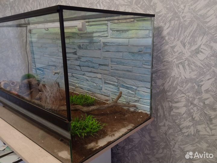 Террариум большой