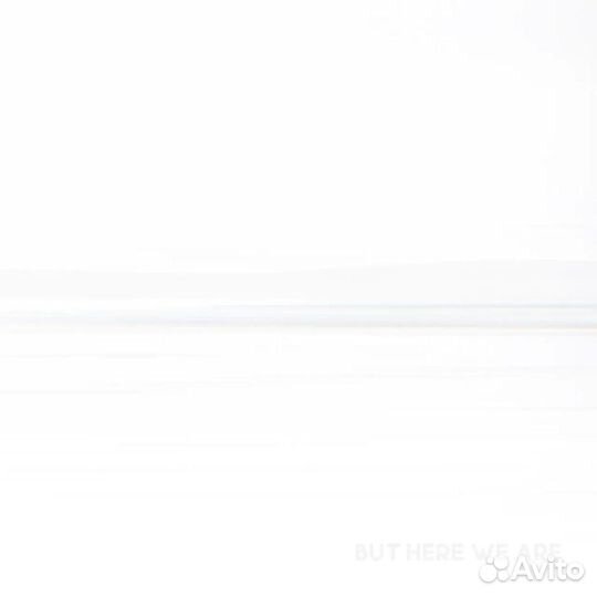 Виниловая пластинка Foo Fighters - But Here We Are