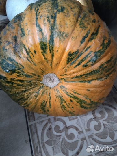 Продам тыкву