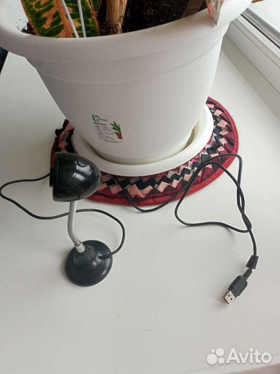 Экшен камера