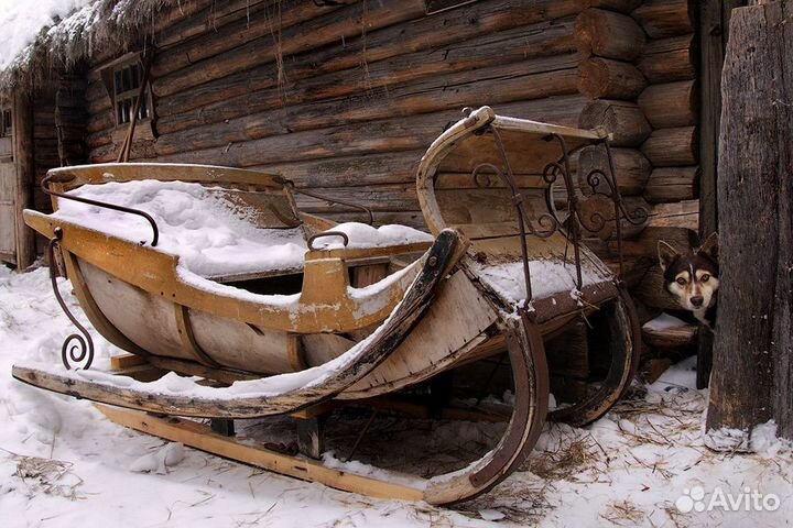 Сани