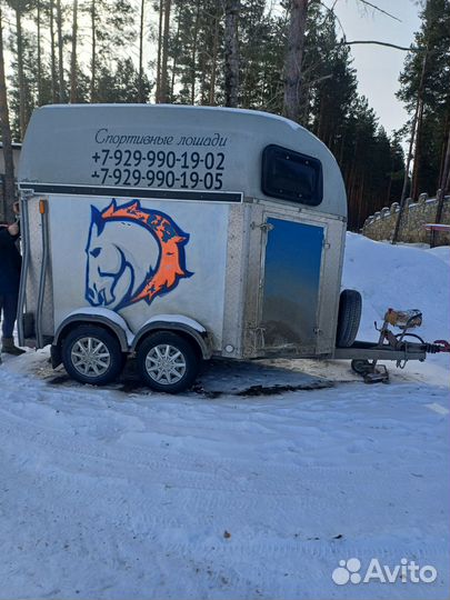 Прицеп-коневозка