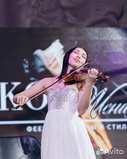 Скрипач,скрипачка на праздник,Скрипка, скрипачи