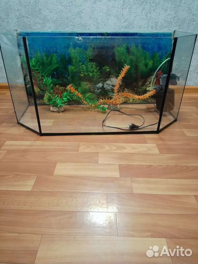 Аквариум