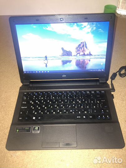 DNS (Clevo) w110er