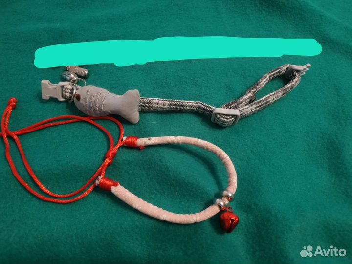 Ошейники и адресники для животных