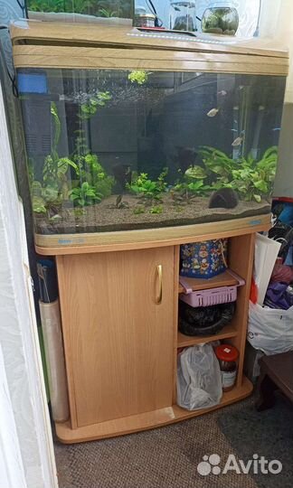 Аквариум Jebo