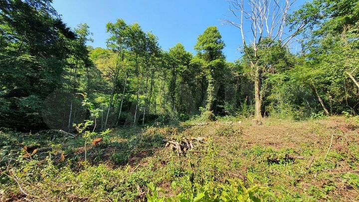 Участок 5 сот. (ИЖС)