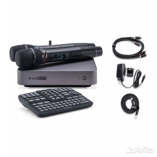 Караоке-система для дома Evobox Plus с микрофонами