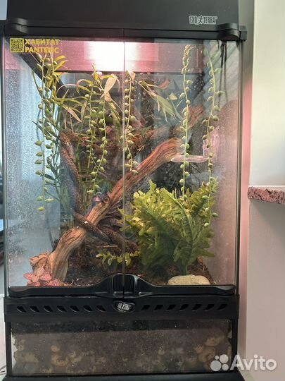 Террариум Exoterra