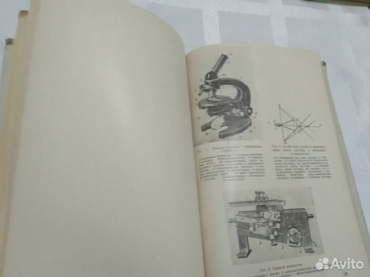 Руководство к практическим занятиям по гистологии