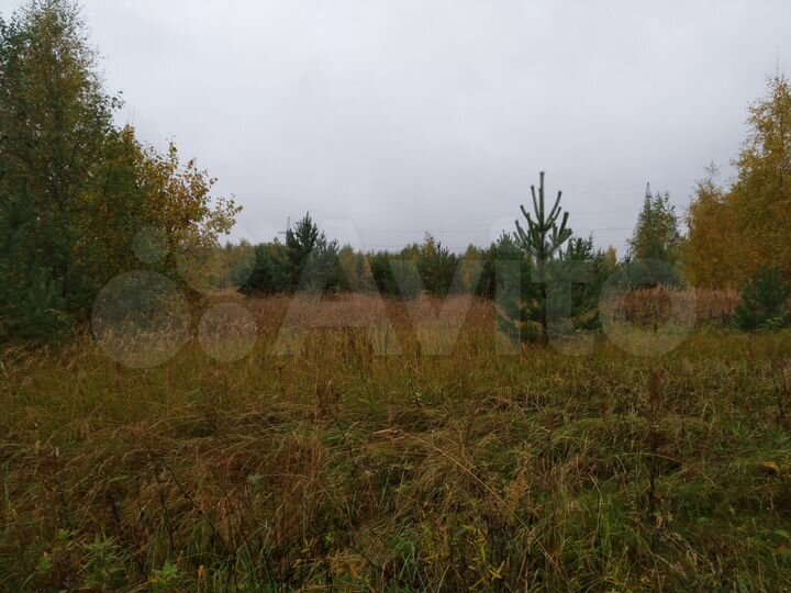 Участок 7,36 га (СНТ, ДНП)