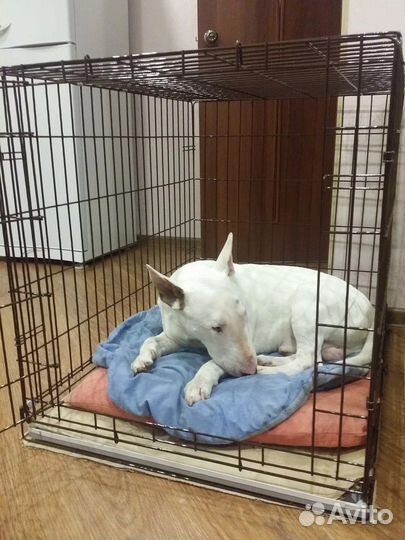Клетка для собак №4