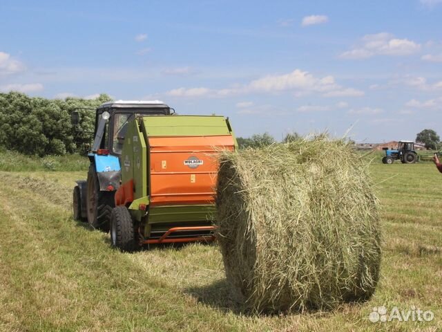 Сено в рулонах