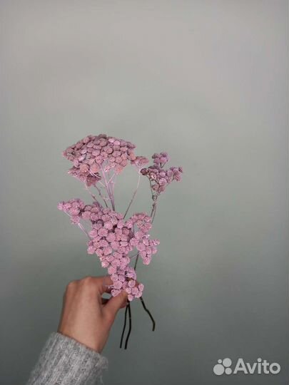 Сухоцвет танацетум / сухоцветы для дома