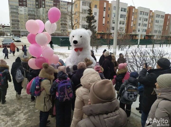 Белый мишка поздравление