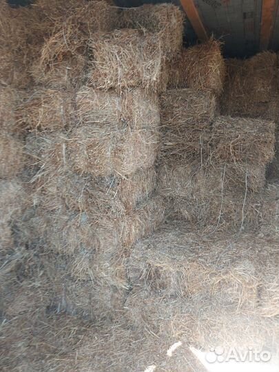 Животноводческая ферма продаю