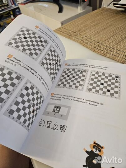 Бронь Шахматы с енотом. Рабочая тетрадь #1