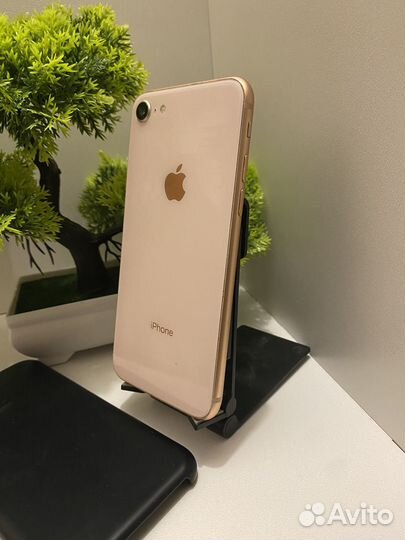iPhone 8, 64 ГБ