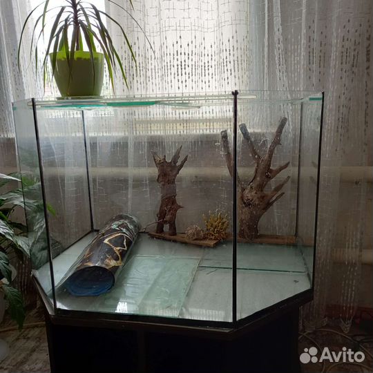 Аквариум с тумбой 200 литров