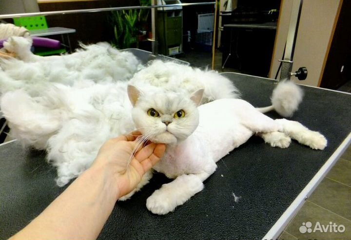 Триммер машинка для животных BaoRun