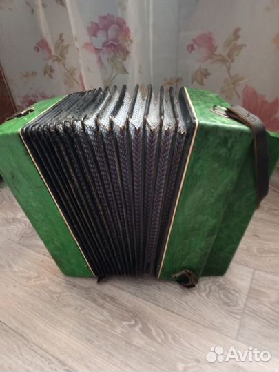 Гармонь чайка 2
