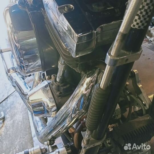 FXR