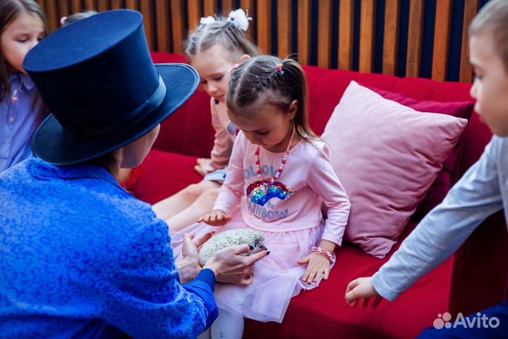 Детский фокусник Аниматоры Шоу программы