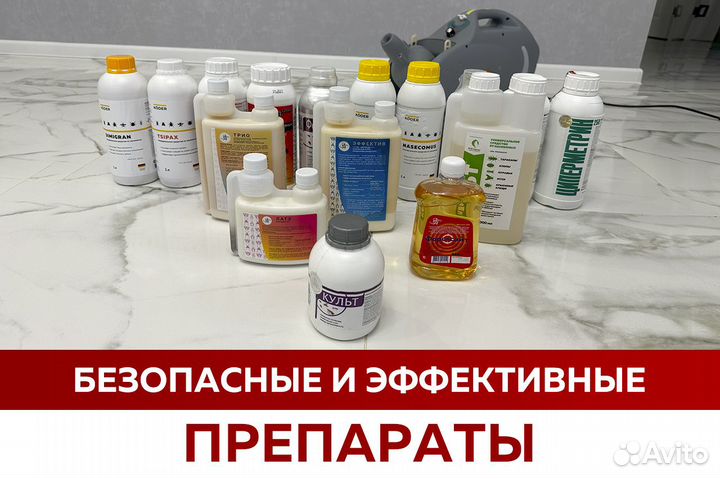 Уничтожение тараканов клопов мышей крыс