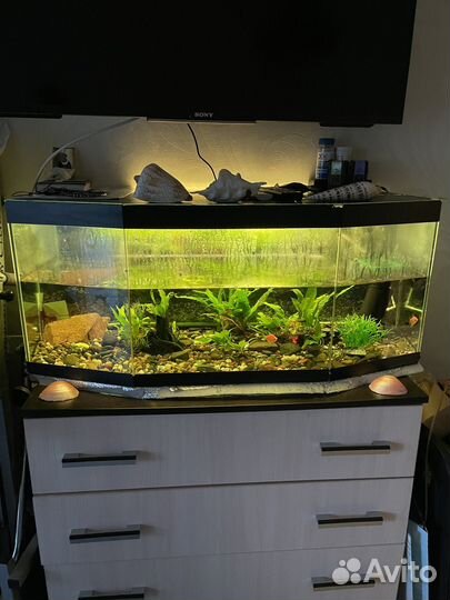 Украшение для аквариума